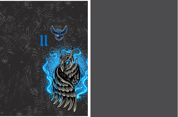 THE OWL BUO INTERCLASSE 2024