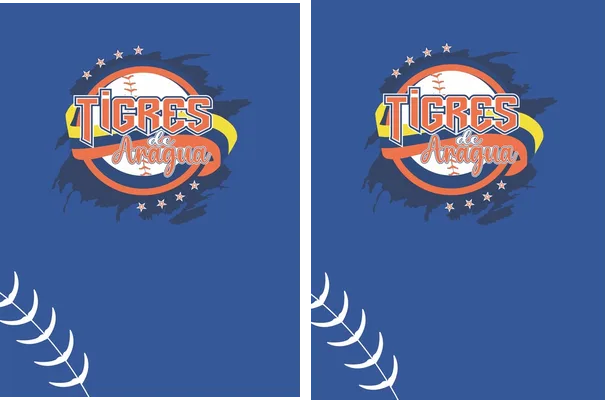 TIGRES DE ARAGUA DESIGN