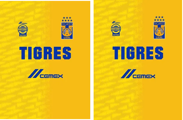 TIGRES UANL 03
