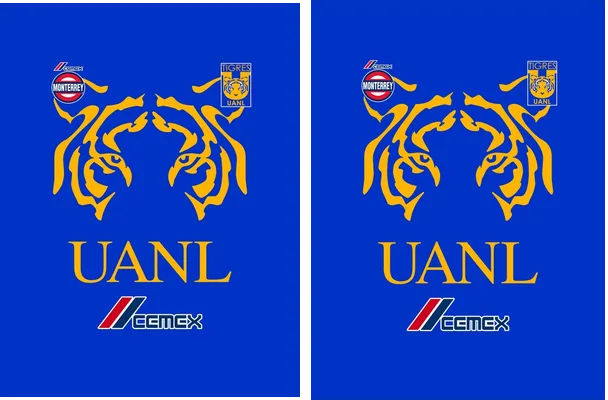 TIGRES UANL 05