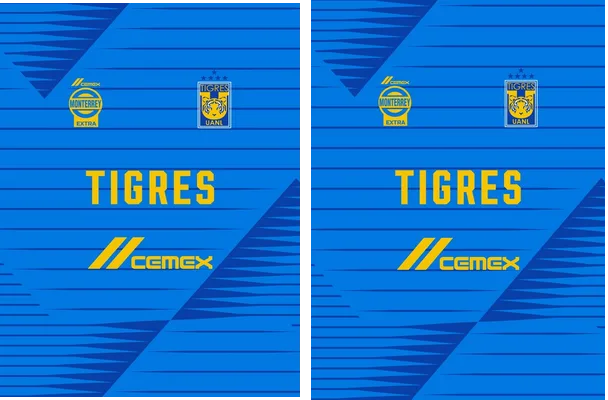TIGRES UANL 06