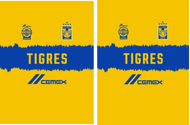 TIGRES UANL 08