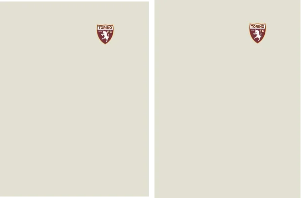 TORINO FC DESIGN