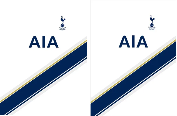 TOTTENHAM HOTSPUR CONCEPT