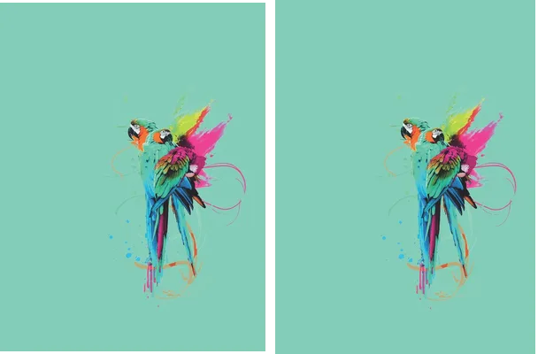 TROPICAL LORO DESIGN