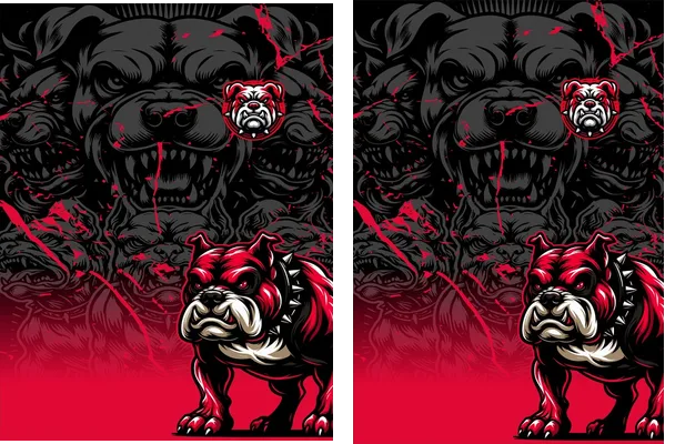 Team BULL DOG