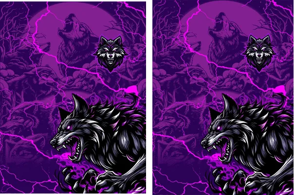 Team Wolf Q 1