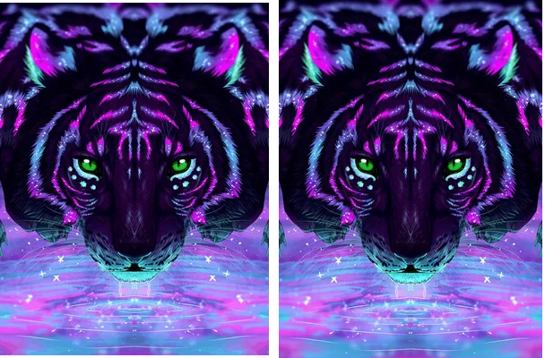Tiger Colours 2023 24