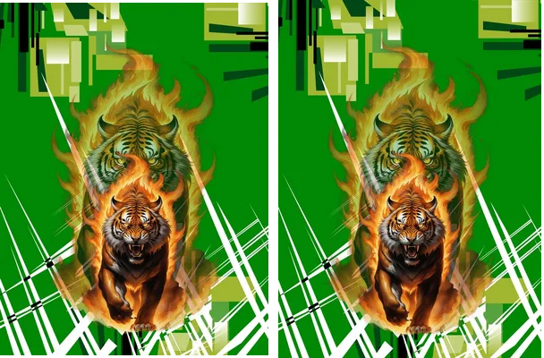 Tigre Geometric Concept