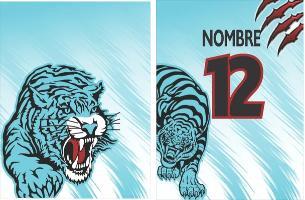 Tigre degrade Lineas Turqueza Q 1