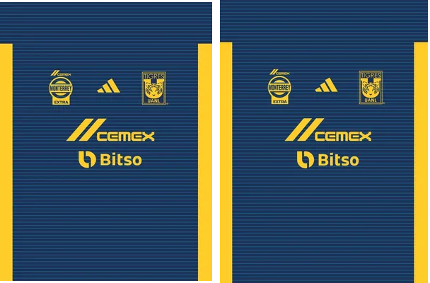 Tigres Uanl Away Kit 24