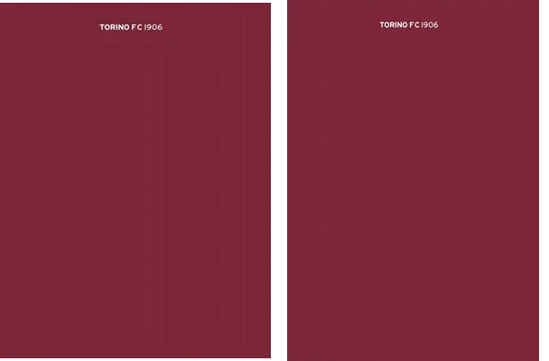 Torino FC Local 2022 2023
