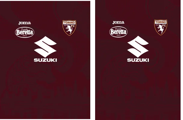 Torino fc Fantasy