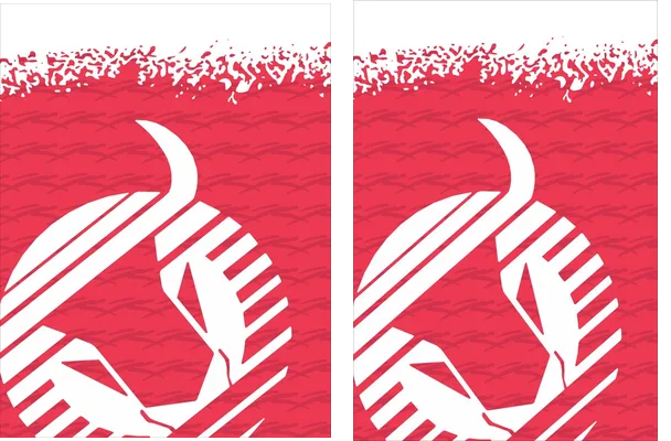 Toros Neza Red Design