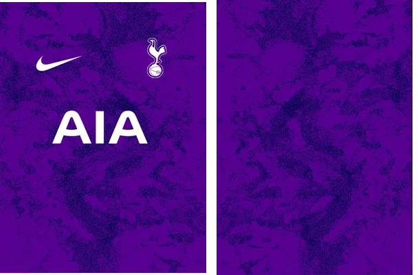 Tottenham FC Concept