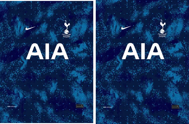 Tottenham Hotspur Fantasy PRO24