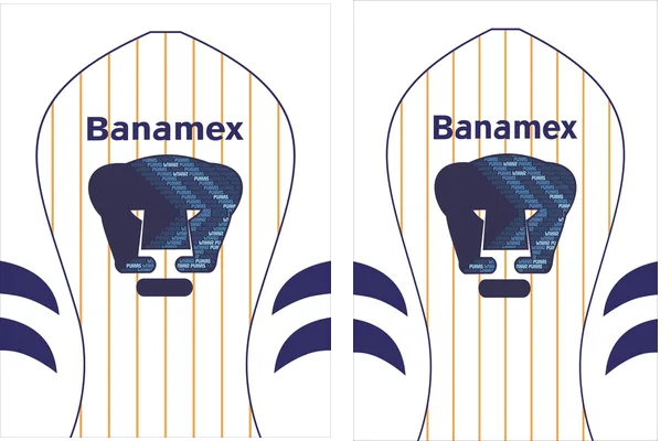 UNAM Pumas 2007 08 Home