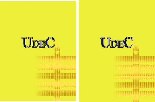 Universidad De Concepcion 2024