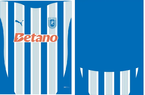 Universitatea Craiova Local 2024 2025