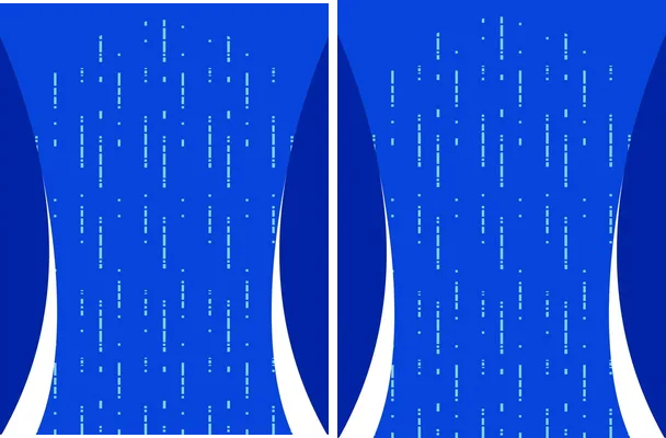 Vector Italia 2024 Home