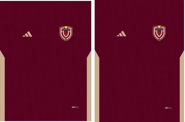 Venezuela Home COPA AMERICA 24 PRO
