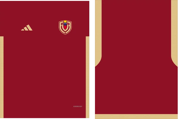 Venezuela Local 2024