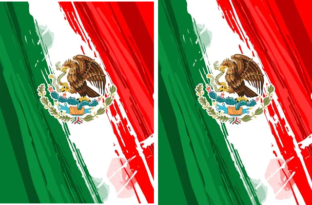 Viva Mexico Cabrones Designs