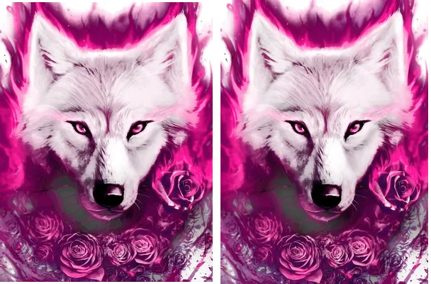 WOLF FLAME ROSE CONCEPT