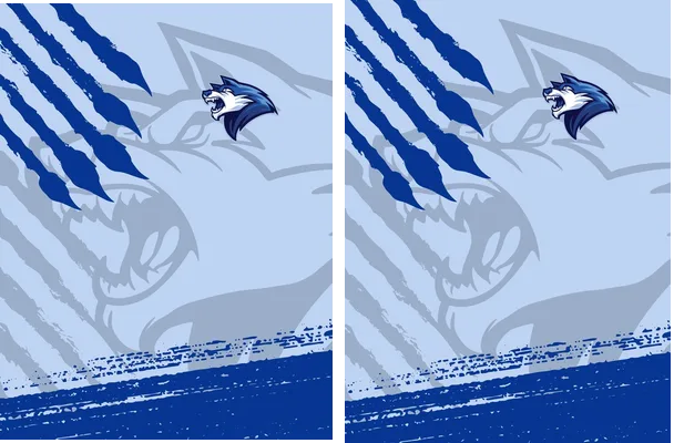 Wolf Grunge Concept