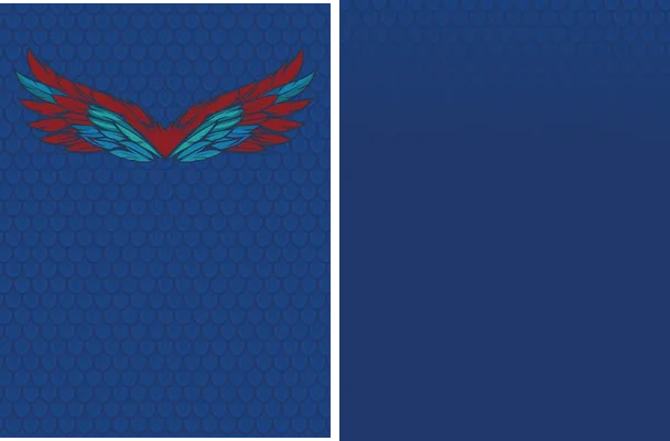 alas sports design