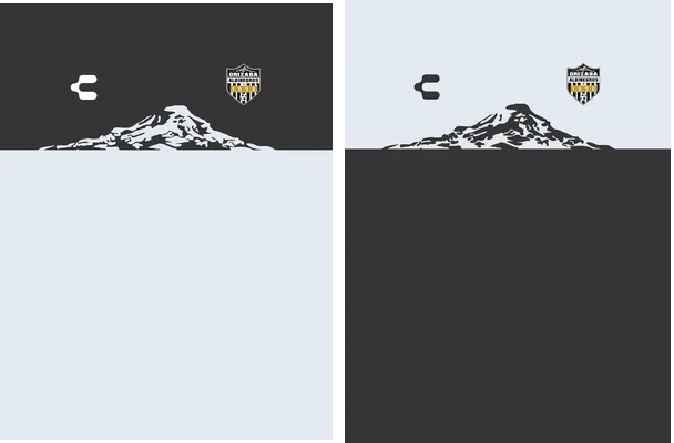 albinegros orizaba jersey