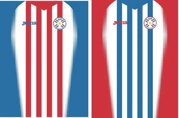 apf paraguay design