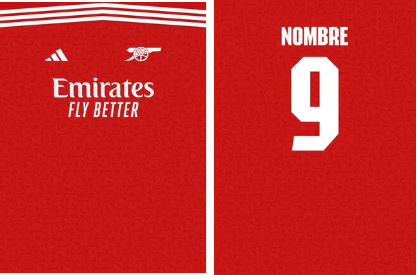 arsenal home kit 25 26 concept