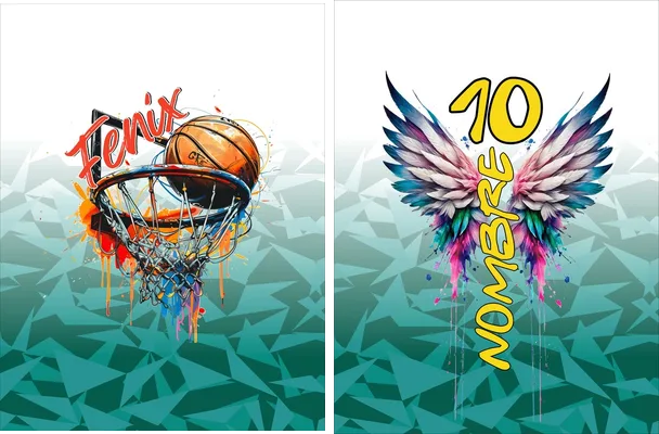 basketball fenix degrades concept