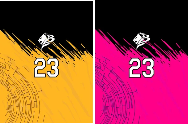 basquetball grunge concept