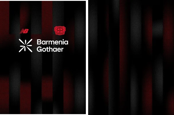 bayer 04 leverkusen 2025 26 home