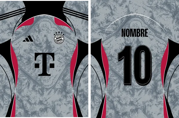 bayer munchen gris