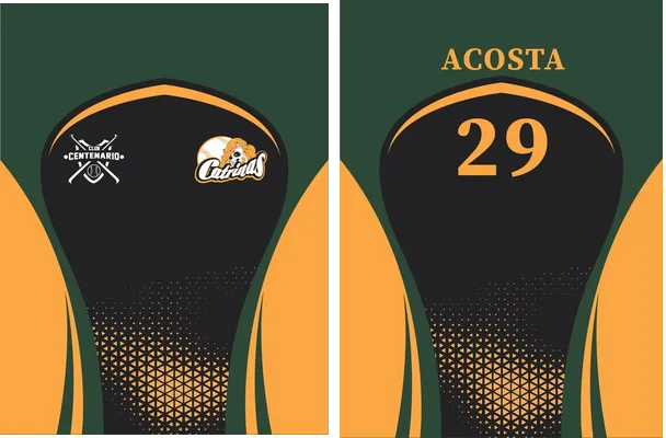 beisbol design