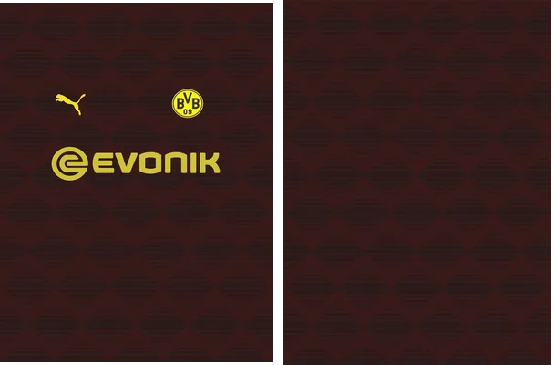 borussia dormunt concept vector free donwload