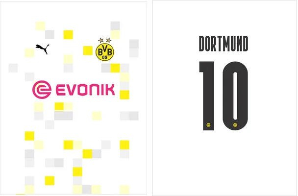 borussia dortmund 2020 21 third
