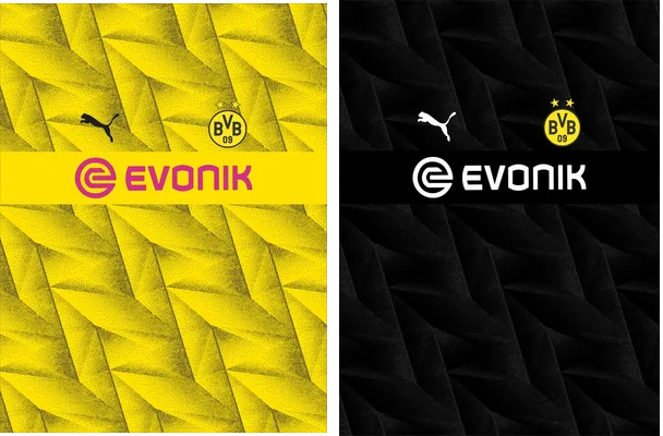 borussia dortmund 2023 24