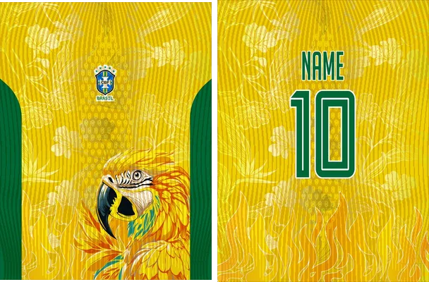 brasil papagallo concep