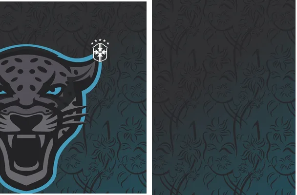 brasil puma concept