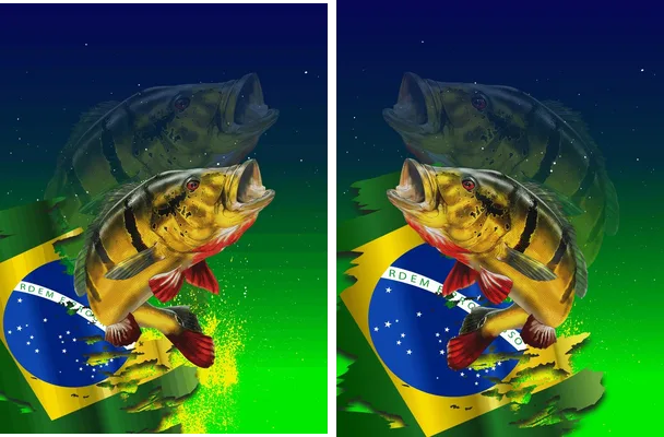 brasilian pesca fisherman sport