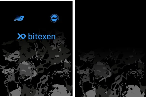 brighton black brush concept