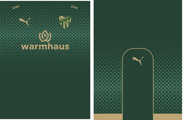 bursaspor green star concept