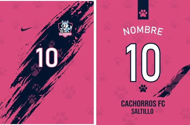 cachorros fc concept