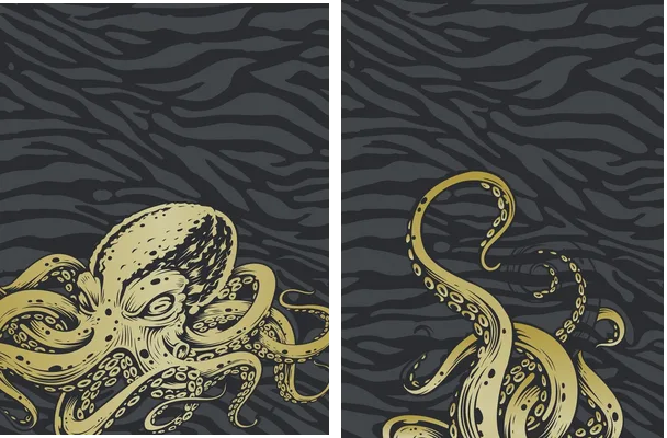 calamar design animal
