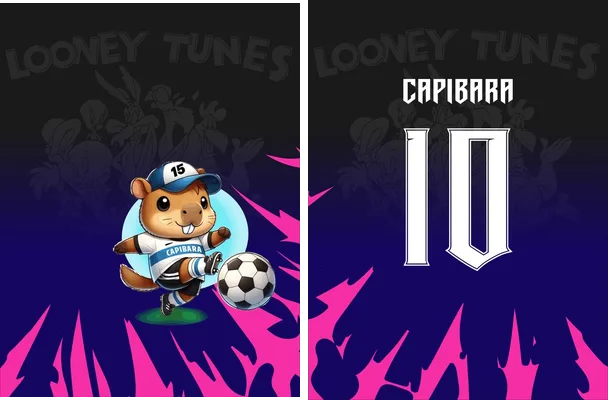 capibara sports concept designs