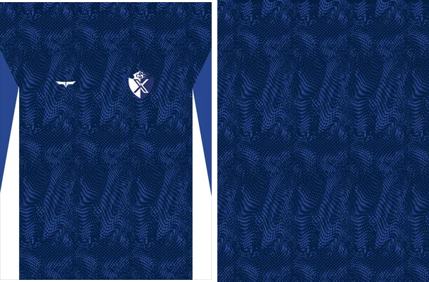 cartaginix blue concept